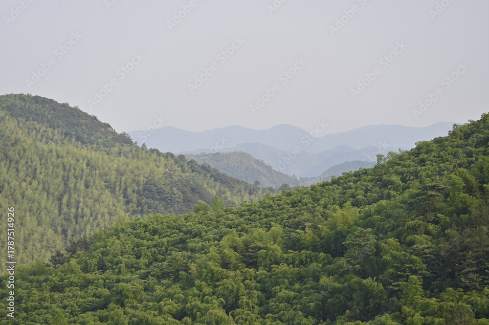 Obraz premium view of the mountains