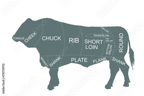 Bull beef parts butchery diagram vector silhouette illustration isolated. Domestic animal beef cuts line contour graphic chart. Chief cooking guide. Cattle butcher diagram. Body parts food cuisine.