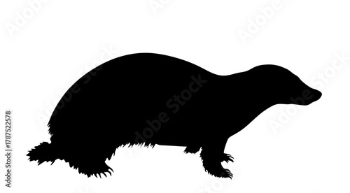 Badger vector silhouette illustration isolated on background. Strong brave animal shape shadow.