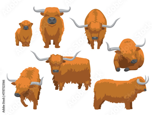 Highland Cattle Various Poses Cartoon Vector Character