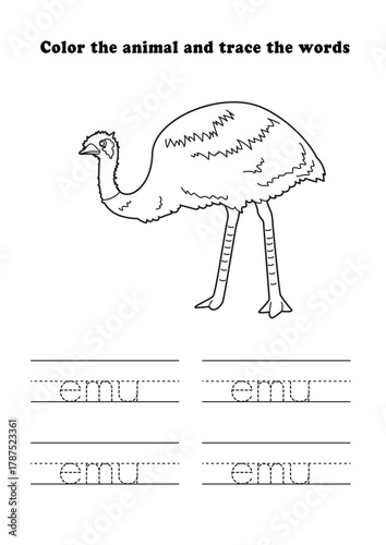 Learning Worksheet Emu Looking Coloring Tracing