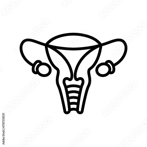 Female Reproductive System Illustration: A detailed outline of the female reproductive system. It is a precise and informative depiction for educational or medical purposes.