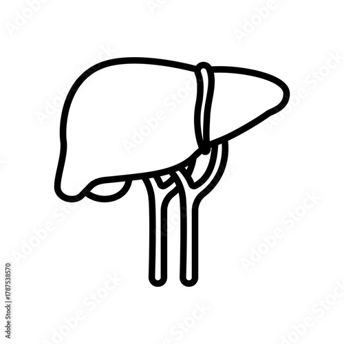 Human Liver Anatomical Diagram: An illustrative outline showcases the intricate design of the human liver, highlighting its crucial role in human health.