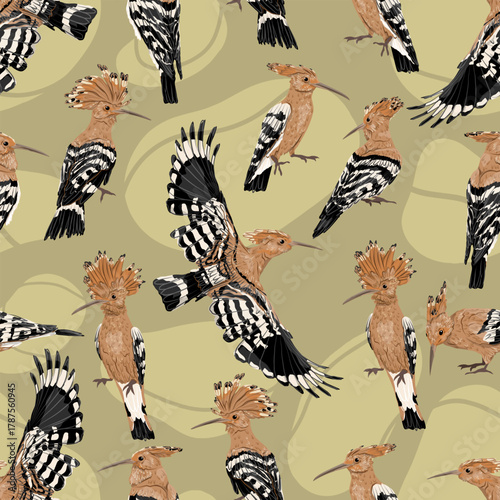 Seamless pattern with hoopoe birds. Upupa epops. Wild bird of Europe, Asia, and Africa. Realistic vector animal.