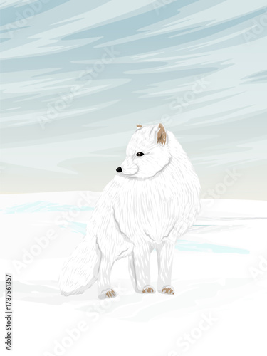 Arctic fox stands on snow. Realistic vector vertical landscape.