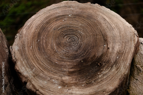 Stone sculpture designed to imitate a tree log, detailed texture resembling natural wood