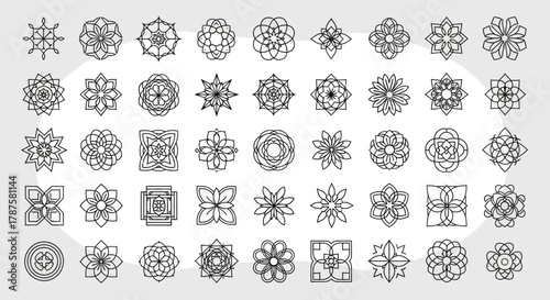 Elegant collection of intricate floral and geometric design elements perfect for branding, logos, patterns, and creative projects, offering modern flair.