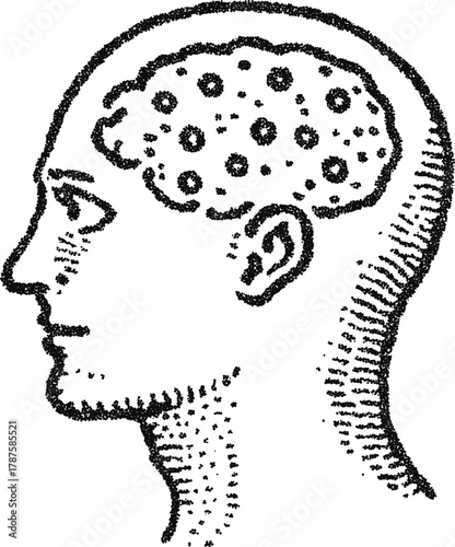 Stipple vector brain diagram side profile, vintage head silhouette with cerebral pattern for psychology
