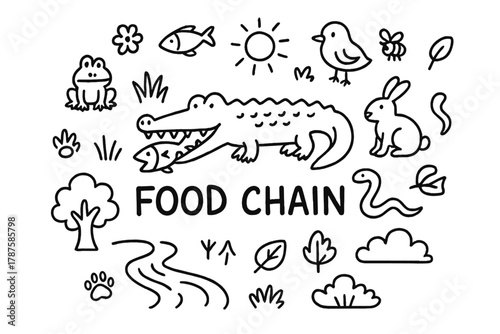 Crocodile Food Chain Illustration. Food Chain. Hand-drawn doodle illustration of Food Chain. In the middle,