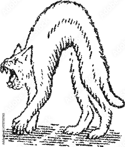 Stipple dotwork arched angry cat hissing, vintage engraving vector illustration for halloween branding, witchcraft theme, and apparel graphic design