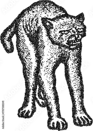 Stipple dotwork punk skull with dramatic mohawk and spiked choker, vintage engraving vector illustration for rock poster and streetwear branding