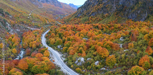 Aerial southward view of Valbona Valley road and river surrounded by autumn forest in the Albanian Alps.