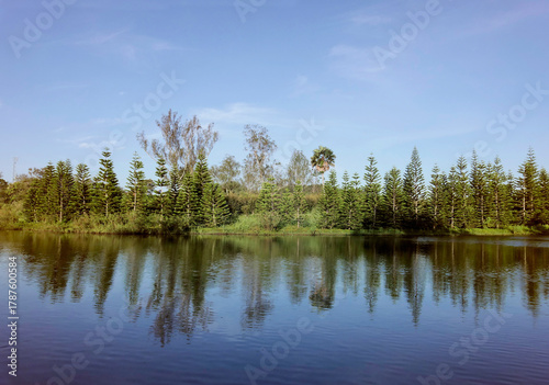 A lakeside setting surrounded by trees and reflected sky