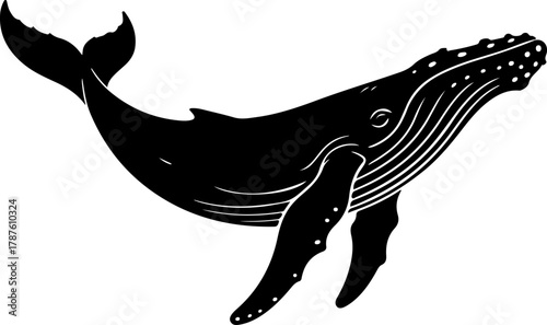 Humpback whale silhouette vector illustration