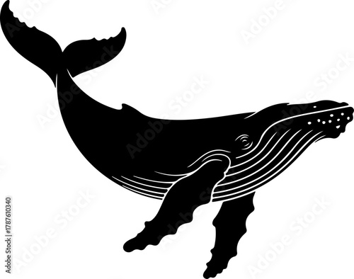 Humpback whale silhouette vector illustration