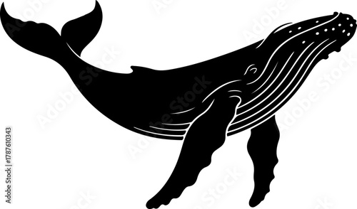 Humpback whale silhouette vector illustration
