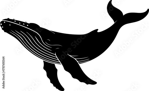 Humpback whale silhouette vector illustration