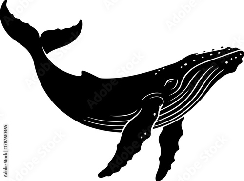 Humpback whale silhouette vector illustration