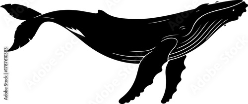 Humpback whale silhouette vector illustration