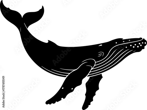 Humpback whale silhouette vector illustration