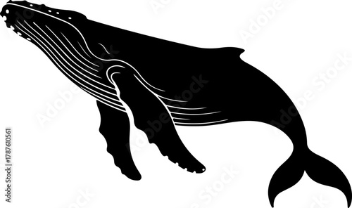 Humpback whale silhouette vector illustration