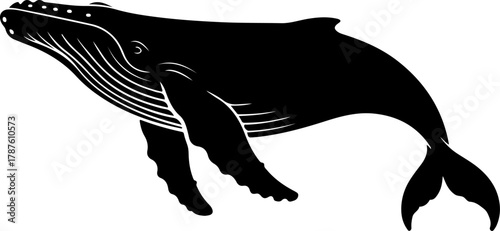 Humpback whale silhouette vector illustration