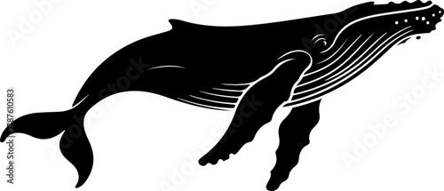 Humpback whale silhouette vector illustration