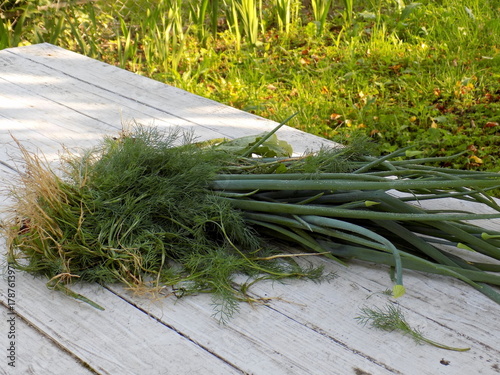 Green onions and dill on a wooden table
