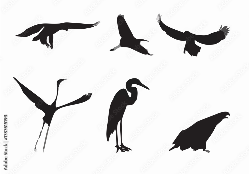 Fototapeta premium set of silhouettes of birds