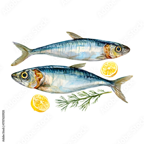Fresh mackerel fish watercolor illustration, displaying healthy seafood, raw ingredients, and delicious mediterranean cuisine, with lemon and dill herbs on transparent background
