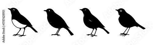 Black bird silhouettes illustration set, one with white belly, minimalist vector.