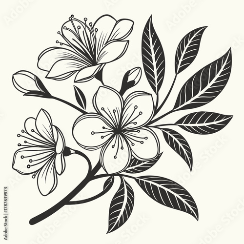 Elegant floral illustration featuring blossoming flowers and leaves in a detailed line art style design