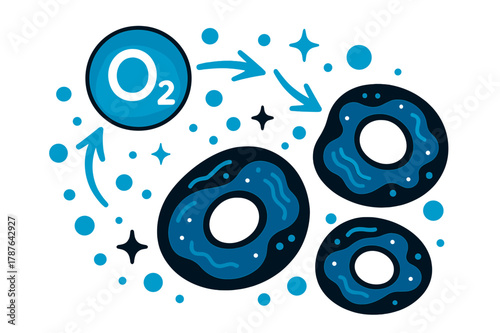 Cellular Respiration Dynamics. Oxygen. Oxygen molecule interacting with human cells; abstract floating arrows, bubbles, and sparkles highlight cellular