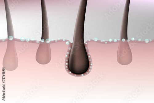 Hair follicle hydration and scalp care concept illustration. Healthy hair root under skin with moisture bubbles. Hair growth and hydration process, realistic 3D medical illustration