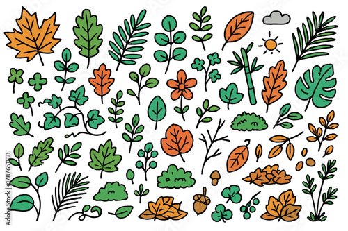 Colorful Seasonal Foliage. Seasonal foliage. Hand-drawn doodle illustration maple leaves (colored), oak leaves (colored), fern fronds (colored), ivy (colored),