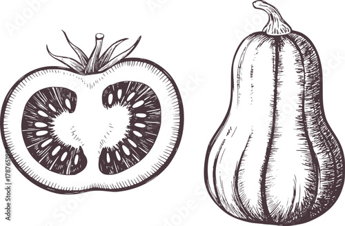 Tomato and squash line drawing vegetable food