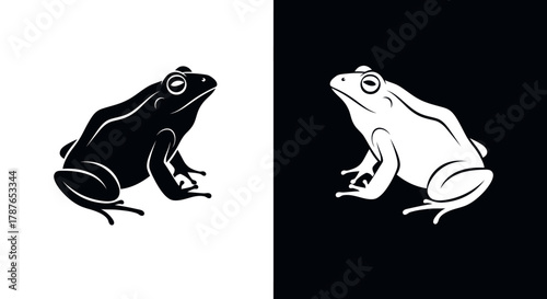 Black and white frog illustration.