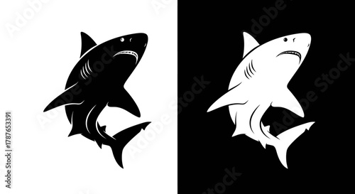 Black and white shark vector illustration on contrasting backgrounds.