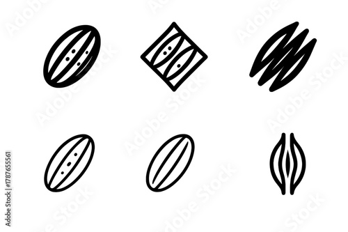 Muscle Fiber Icons. muscle fibers. Set Logo of muscle fibers: Fast-twitch fiber icon. Icon set. harmonious logo variations of the same emblematic concept, each