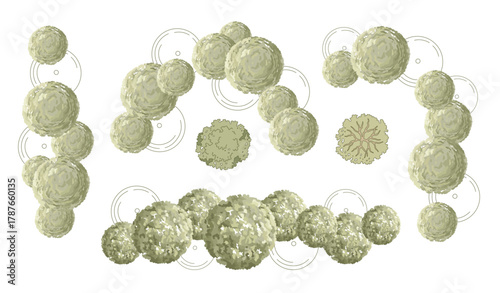 Tree for architectural floor plans. Entourage design. Various trees, bushes, and shrubs, top view for the landscape design plan. Vector illustration.