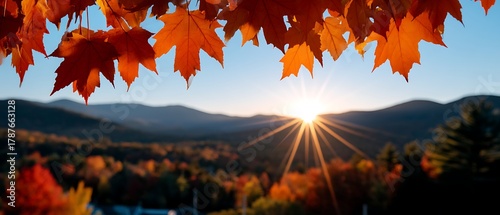 Vibrant Autumn Leaves Against a Scenic Sunrise in Mountain Landscape