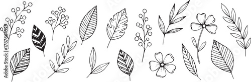 Hand-drawn botanical elements including leaves flowers and berries in a simple line art style for natural designs and decorations