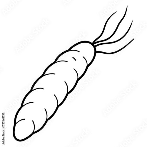 potato chips isolated on white background