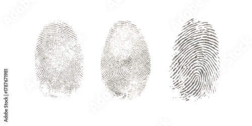 Three gray human fingerprints on clean white background for identification security