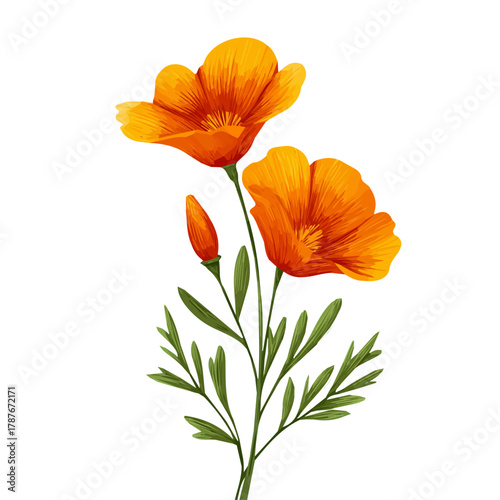 An EPS format illustration, vector design, simple flat 2D icon, minimalist design, icon set, A Simple 2D vibrant vibrant California poppy flower and leaves illustration isolated on a white background