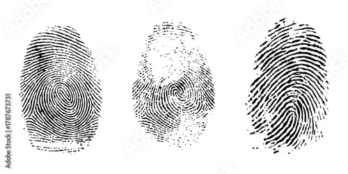 Set of three unique black fingerprint patterns for security and identification