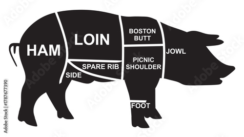 Pork meat diagram. vector illustration	
