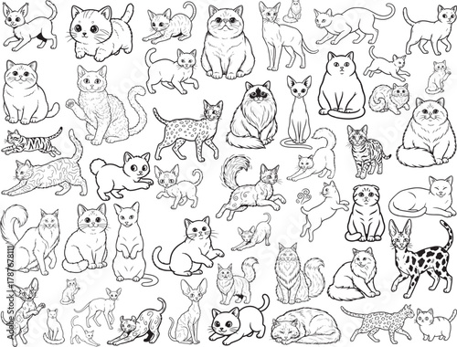 48 Various Breeds of Cute Doodle Cats Collection