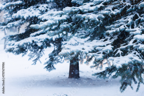 Whimsical snowflakes dance around vibrant blue spruce branches heavy with fresh snow, radiating a cozy, Christmas-ready charm. 