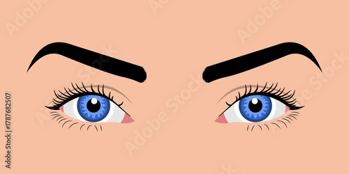 Close up of a woman's eyes